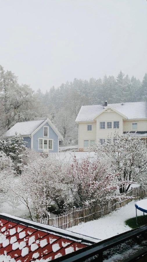 Haus Madita Breitnau Ngoại thất bức ảnh